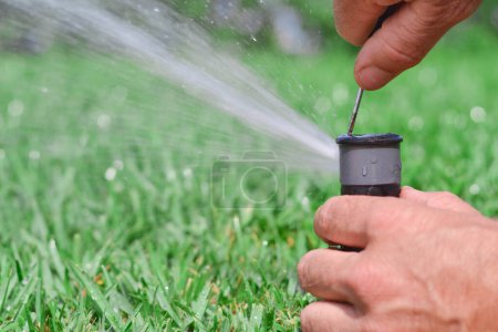 Photo for Adjusting a sprinkler with a screwdriver. Garden maintenance concept. - Royalty Free Image