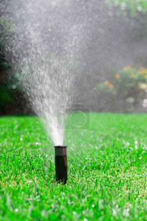 Photo for Sprinkler watering the lawn - Royalty Free Image