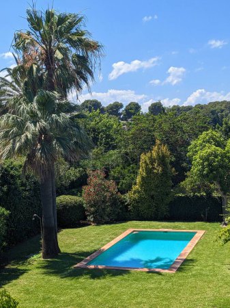 Photo for View of an intimate private garden with swimming pool, palm tree and different bushes. - Royalty Free Image
