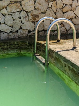Piscine avec eau verte par manque de chlore ou prolifération d'algues.