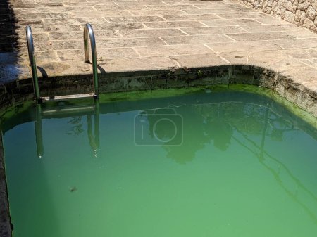 Photo for Swimming pool with green water due to lack of chlorine or algae proliferation. - Royalty Free Image