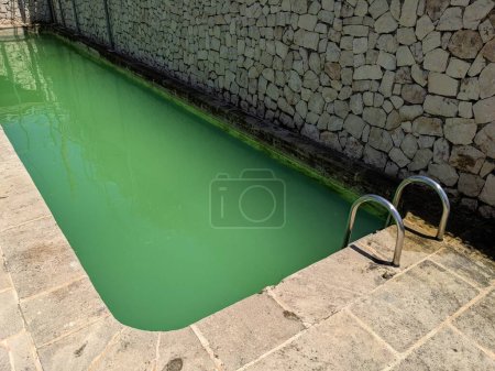 Piscine avec eau verte par manque de chlore ou prolifération d'algues.
