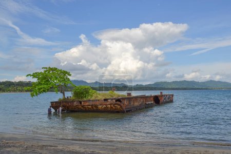 Foto de Barco varado en la orilla de la playa de Puerto Viejo, Costa Rica. Árboles y plantas han crecido y es utilizado por los pescadores. - Imagen libre de derechos
