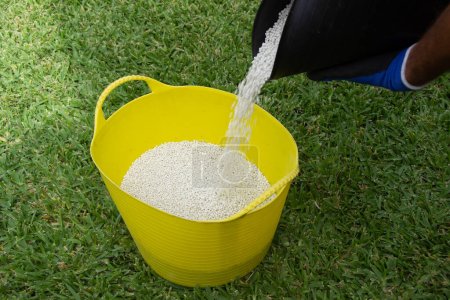 Photo for Bucket of white chemical fertilizer in granular format ready to be applied to garden plants. Garden maintenance concept. - Royalty Free Image