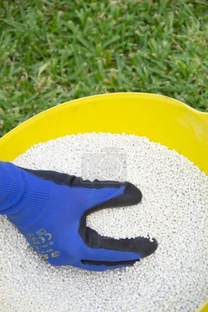 Bucket of white chemical fertilizer in granular format ready to be applied to garden plants. Garden maintenance concept.