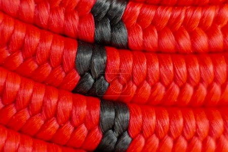 Photo for Texture of an elastic rope with a coiled hook, in red and black. Macro image. Background. - Royalty Free Image