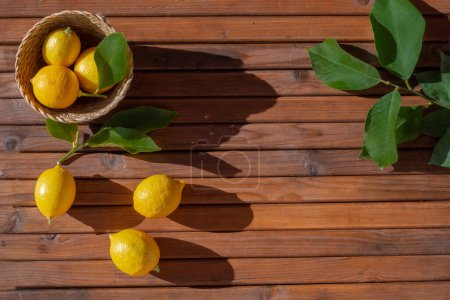 Several ripe lemons and lemon tree leaves displayed on a wooden plank table in bright light.