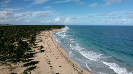 Photo for Coastline exploration - gold sand, palm trees, wild beach Playa Costa Esmeralda in Dominicam Republic - Royalty Free Image