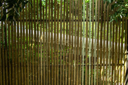 Téléchargez les photos : Fond en bambou et toile de fond lamelles sont disposées à la cloison murale et la clôture - en image libre de droit