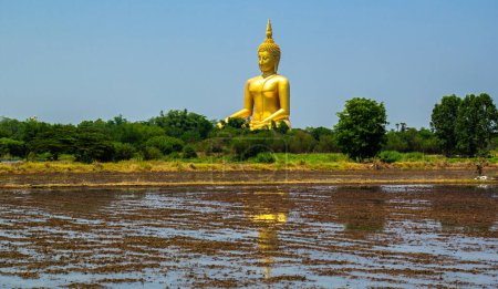 Photo for Great Buddha Statue, with rice field in foreground. Ang Thong province, Thailand - Royalty Free Image
