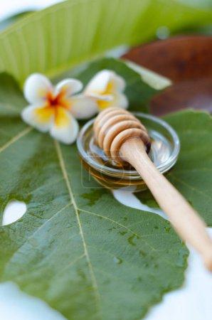 Photo for Honey spoon with honey and a frangipani flower - Royalty Free Image