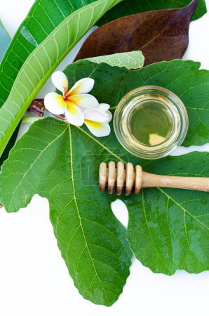 Photo for Honey spoon with honey and a frangipani flower - Royalty Free Image