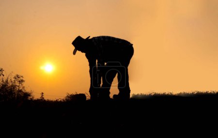 Téléchargez les photos : Silhouette d'un homme debout avec un chapeau de cow-boy Miner image de fond habillé en orange, flou - en image libre de droit
