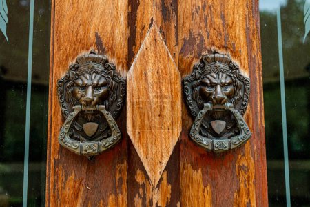 Photo for Traditional doorknob sculpture decoration lion vintage bronze antique decoration wooden door entrance antique house design - Royalty Free Image
