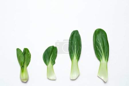Foto de Hojas verdes vegetales frescos se disponen horizontalmente sobre fondo blanco. - Imagen libre de derechos