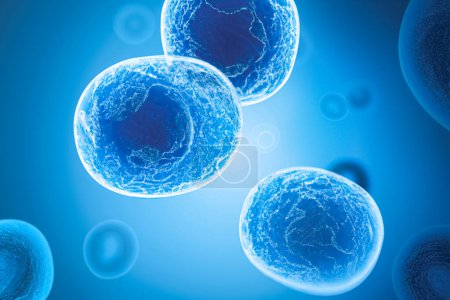 Ilustración 3D de células madre. Concepto, células madre Ilustración 3D utilizada para la investigación genómica o del ADN en laboratorio y el diagnóstico de la enfermedad para la terapia. Células madre embrionarias, Terapia con células madre. 