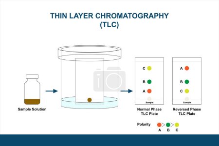 Ilustración de cromatografía de capa delgada TLC que comprende placas TLC de fase normal e inversa. Las placas TLC se utilizan para la investigación o detección de cribado de la solución de muestra.