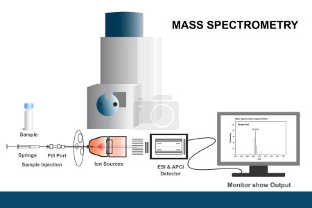 Foto de La ilustración de la instrumentación de espectrometría de masas de esquema muestra la fundamentación típica del análisis de espectrometría de masas. - Imagen libre de derechos