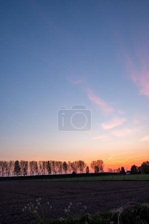 Foto de Magnífico, amanecer muy colorido. Amanecer mágico sobre los pólderes holandeses. Naturaleza en los Países Bajos. Un invierno colorido. Foto de alta calidad - Imagen libre de derechos