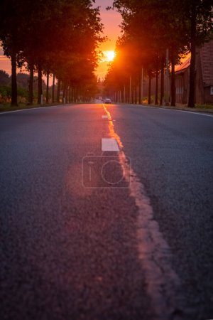 Photo for This picturesque scene features the sun rising over an open asphalt road, set in the European countryside. The image perfectly captures the tranquil beauty of a sunny morning or evening, reflecting - Royalty Free Image