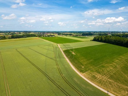 Foto de La imagen captura una amplia vista aérea de los campos agrícolas, mostrando un tapiz de diferentes tonos de verde. Un camino rural serpentea a través de los campos, creando una separación distintiva entre - Imagen libre de derechos