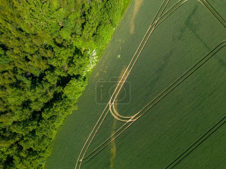 Photo for The image provides an aerial view of rail tracks gracefully carving through a lush landscape. The convergence of the man-made railway with the vibrant green foliage illustrates a harmonious blend of - Royalty Free Image