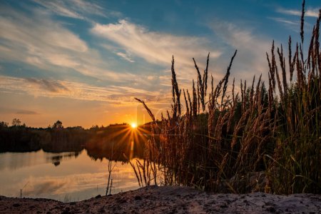 Photo for This image evokes a rustic charm, featuring tall reeds silhouetted against the warm glow of the setting sun. The sun, peeking just above the horizon, scatters its rays, creating a starburst effect - Royalty Free Image