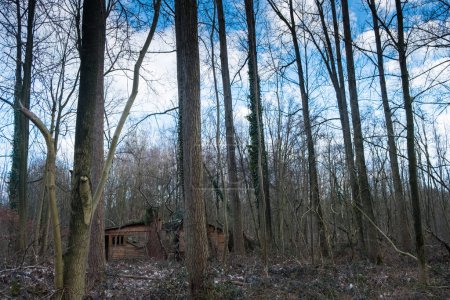 Téléchargez les photos : Nichée au milieu des arbres squelettiques d'une forêt d'hiver, une cabane isolée est partiellement cachée. Les branches nues permettent un aperçu de cette retraite rustique, faisant allusion à une histoire de solitude et d'évasion. L ' - en image libre de droit