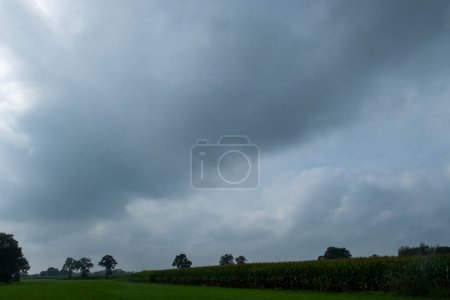 Photo for This image depicts a serene countryside landscape with an expanse of green fields under a vast, brooding sky. The ominous clouds gather with a gradient from a lighter grey to a deep, almost black hue - Royalty Free Image