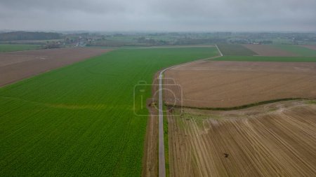 Photo for This image displays an overcast day over a rural landscape, where a lone road divides two contrasting fields. To the left, the lush green crops stand in stark contrast to the bare, ploughed land on - Royalty Free Image