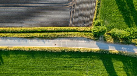 Foto de Esta imagen aérea destaca el llamativo contraste entre los diferentes usos de la tierra agrícola, donde los diferentes tipos de cultivos y etapas de crecimiento pintan un vívido tapiz de texturas y colores. Una división - Imagen libre de derechos
