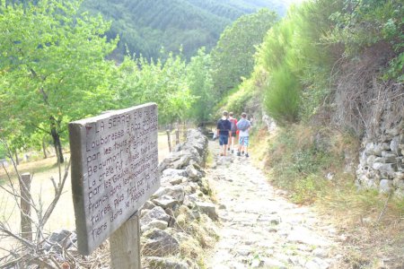 Téléchargez les photos : L'image capture un groupe de randonneurs se lançant dans un voyage le long d'un sentier rustique dans la région verdoyante de l'Ardèche en France. Le sentier, bordé d'un mur traditionnel de pierres sèches et ombragé par un vert verdoyant - en image libre de droit