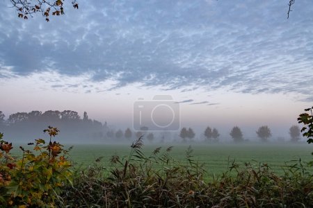 Photo for This image conveys the stillness of an early morning in the countryside, with a gentle fog settling over the fields. The foreground shows the edge of a field, transitioning from clarity into the mist - Royalty Free Image