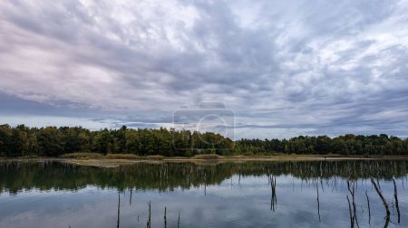 Photo for This image captures the serene beauty of a still lake reflecting a forested landscape under a sky textured with stratocumulus clouds. The calmness of the lake allows for a mirror-like reflection - Royalty Free Image