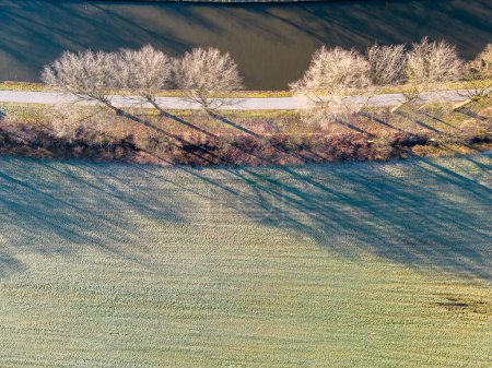 Photo for An aerial view captures the essence of a crisp morning over a frosted field. The sun, positioned just out of frame, casts long shadows of barren, frost-coated trees across the textured grassland. A - Royalty Free Image