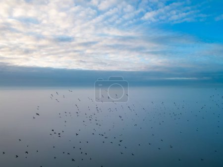 Téléchargez les photos : Capturée d'en haut par un drone, cette image montre un troupeau d'oiseaux en vol, dispersés à travers le cadre sur un vaste paysage couvert de brume. Le ciel matinal est un spectacle de texturé - en image libre de droit