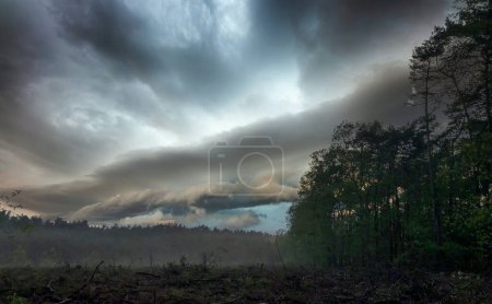This image depicts a profound moment of natural drama as an ominous cloud formation hovers above a forest at twilight. The sky, a canvas of swirling clouds tinged with the fading light of day, creates