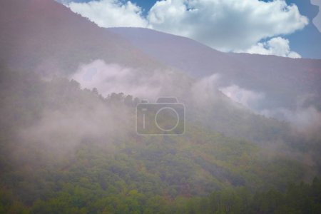 Cette photographie présente une scène captivante où la verdure luxuriante des pentes de montagne est partiellement voilée par une brume douce et dérivante. Le ciel couvert, avec des taches de bleu regardant à travers, suggère un