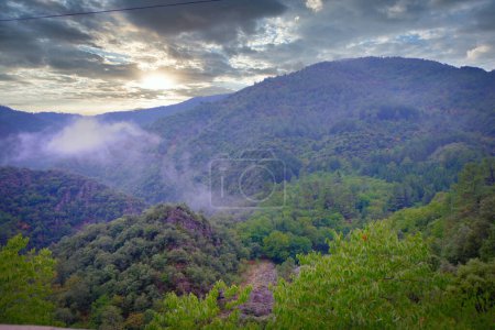Photo for The beauty of a mountainous region at sunrise is captured here, with rolling hills blanketed in greenery. A gentle mist rises from the dense forest, adding a mystical quality to the landscape. The - Royalty Free Image