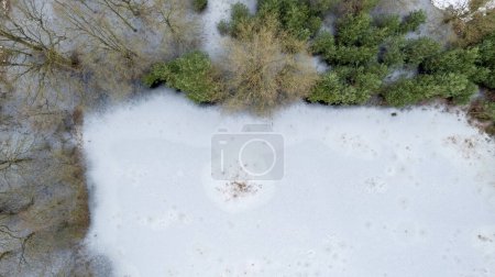 An aerial view of a wintry landscape captures the contrast between the snow-covered ground and the pockets of evergreen trees that resist the cold. The image offers a sense of the quiet solitude of