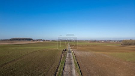 This aerial photograph offers a serene view of a straight country road as it divides expansive farmland under a clear blue sky. The fields on either side display varied stages of agricultural