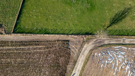 Foto de Esta imagen aérea muestra una variedad de campos agrícolas en diferentes etapas de cultivo. A la izquierda, un exuberante campo verde sugiere un crecimiento activo, posiblemente un cultivo de hierba o leguminosas. En contraste - Imagen libre de derechos