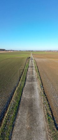 This vertical image provides a striking perspective of a rural road that runs directly between two contrasting agricultural fields. To the left, the field appears to be freshly sown with crops, marked