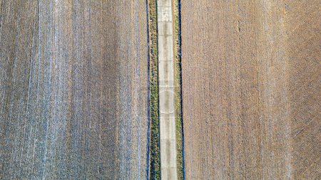 Obraz ten, pochodzący z góry, przedstawia intymne spojrzenie na szczegółową fakturę gruntów rolnych na wąskiej, meandrującej ścieżce wiejskiej. Lewa część obrazu pokazuje pole z dokładnością