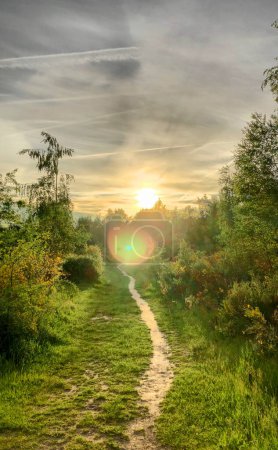 The image depicts a narrow, winding trail through a lush meadow, leading towards the warmth of a rising sun. The early morning light filters through the foliage, casting a soft glow and creating a