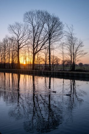 This tranquil image captures the essence of a peaceful evening by the water, where ducks glide across the surface, creating gentle ripples. The winter sun sets in the background, filtering through the