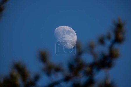 Esta imagen tranquila presenta la fase gibbous encerada de la luna capturada en el cielo de la luz del día. La superficie de las lunas es detallada, mostrando sus cráteres y maria contra el gradiente azul del cielo. En