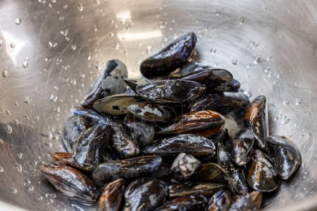A closer view of a collection of wet, freshly rinsed mussels nestled in a stainless steel bowl, ready for culinary use. The sheen of water on the mussels and the inside of the bowl suggests they have