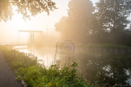 Téléchargez les photos : Une scène sereine et éthéré capture l'essence d'une matinée brumeuse par une rivière calme. Le soleil levant, obscurci par le brouillard dense, projette une douce lueur diffuse qui éclaire la scène avec une chaleur - en image libre de droit