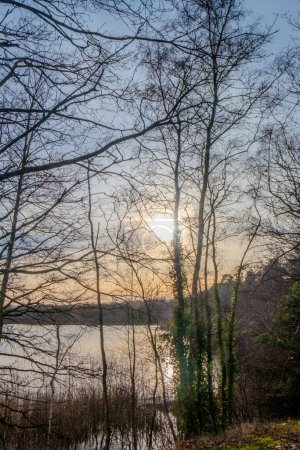 Eine heitere Winterszene entfaltet sich, als die tief stehende Sonne durch die silhouettierten Zweige eines Waldes mit Blick auf einen ruhigen See lugt. Die Reflexion der Sonnen auf dem Wasser verstärkt das Licht und schafft einen Weg, der